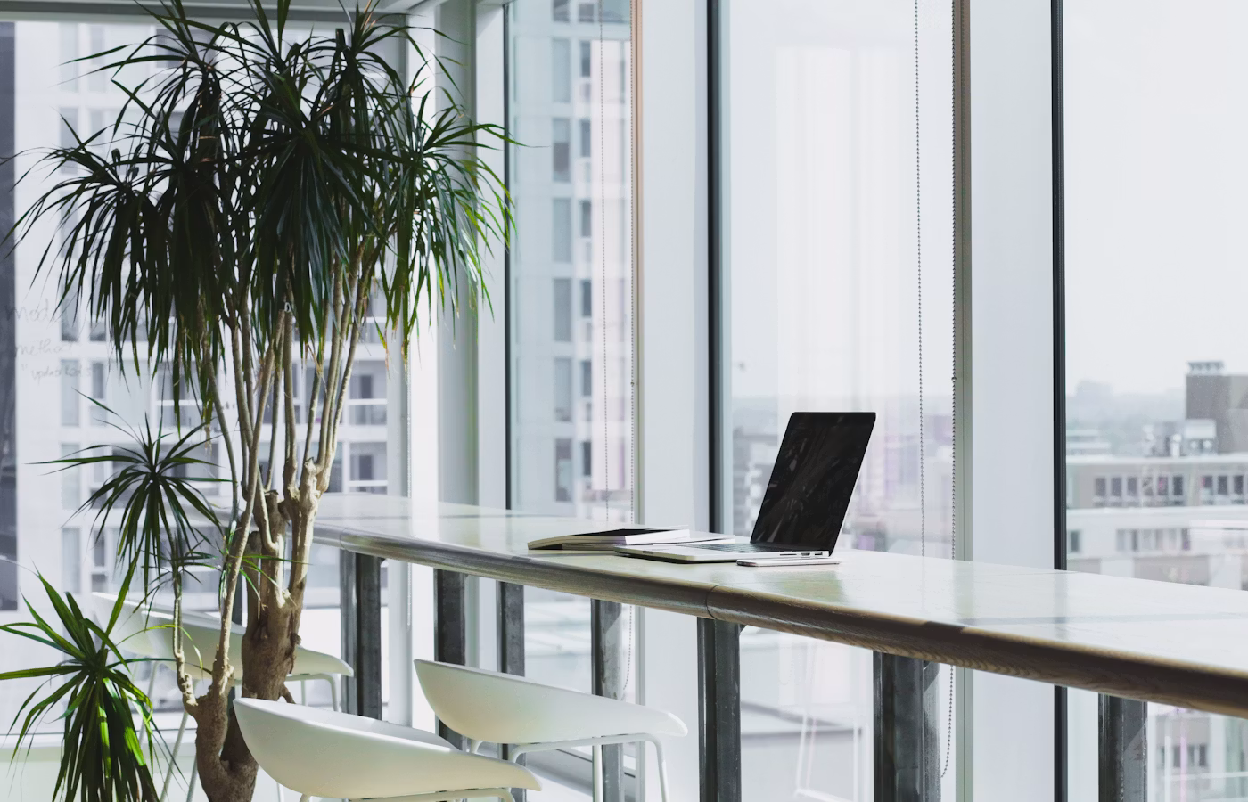 Саморегуляция для предпринимателя